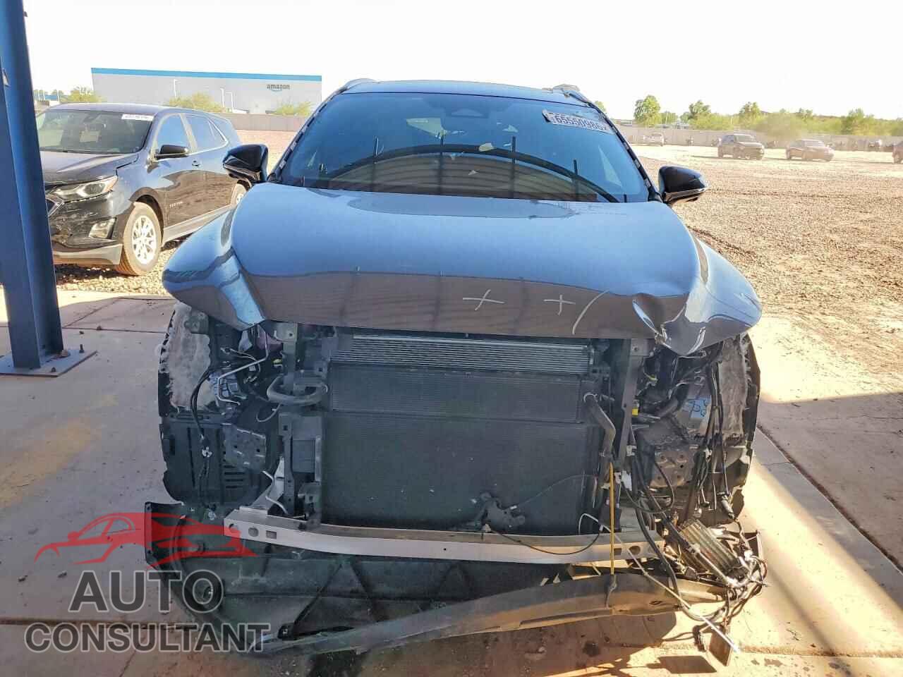 LEXUS UNKNOWN 2024 - 2T2BBMCA6RC058059