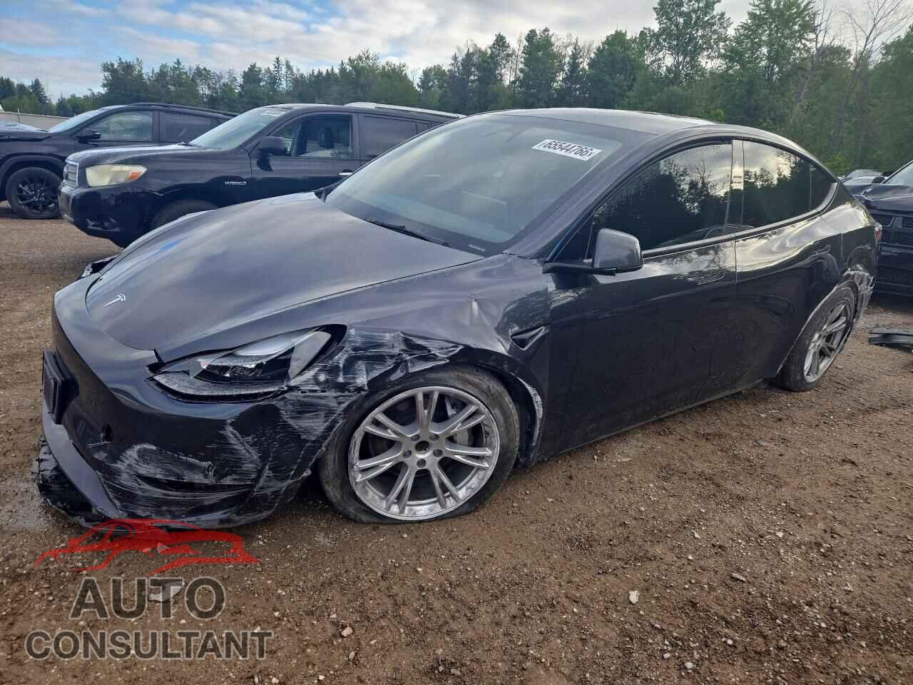 TESLA MODEL Y 2024 - 7SAYGDED3RF078680