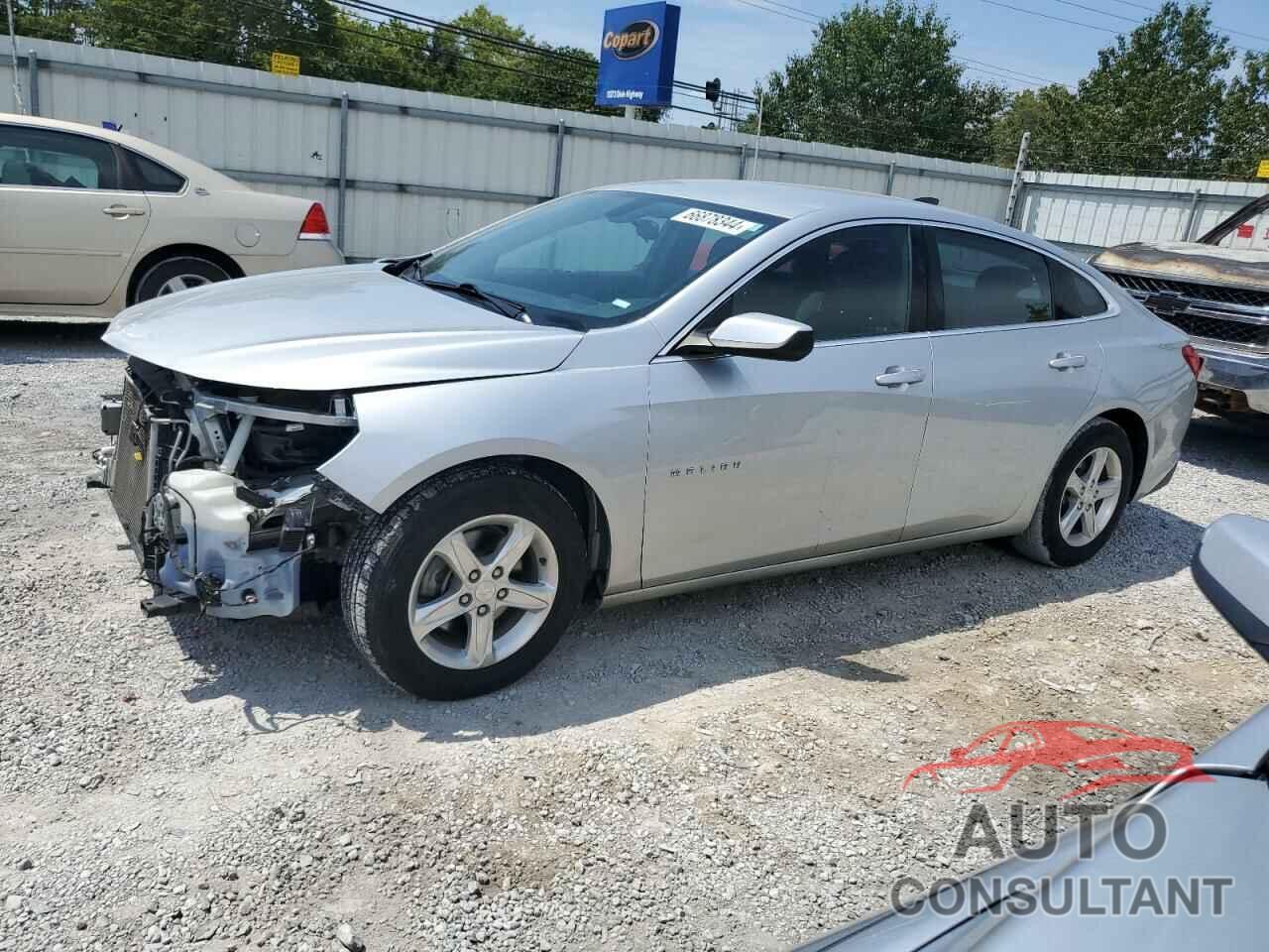 CHEVROLET MALIBU 2019 - 1G1ZC5ST0KF176283