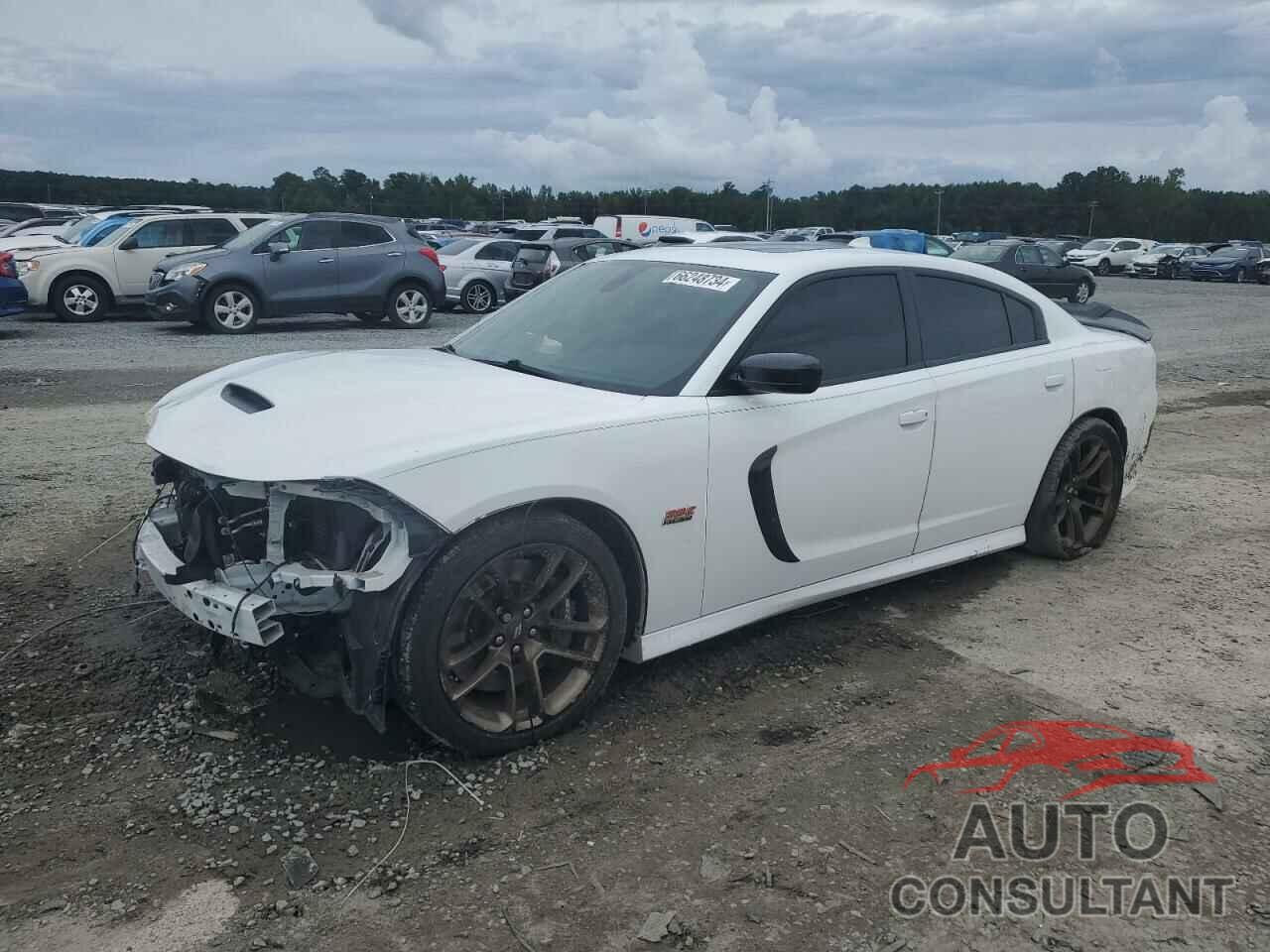 DODGE CHARGER 2021 - 2C3CDXGJ8MH569628