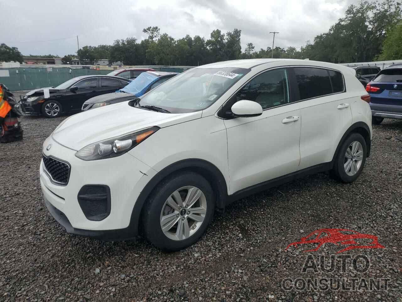 KIA SPORTAGE 2019 - KNDPM3AC4K7622205