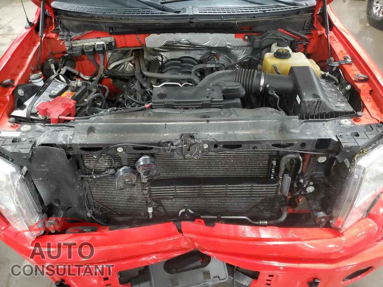 FORD F-150 2013 - 1FTFX1EF8DFD83701
