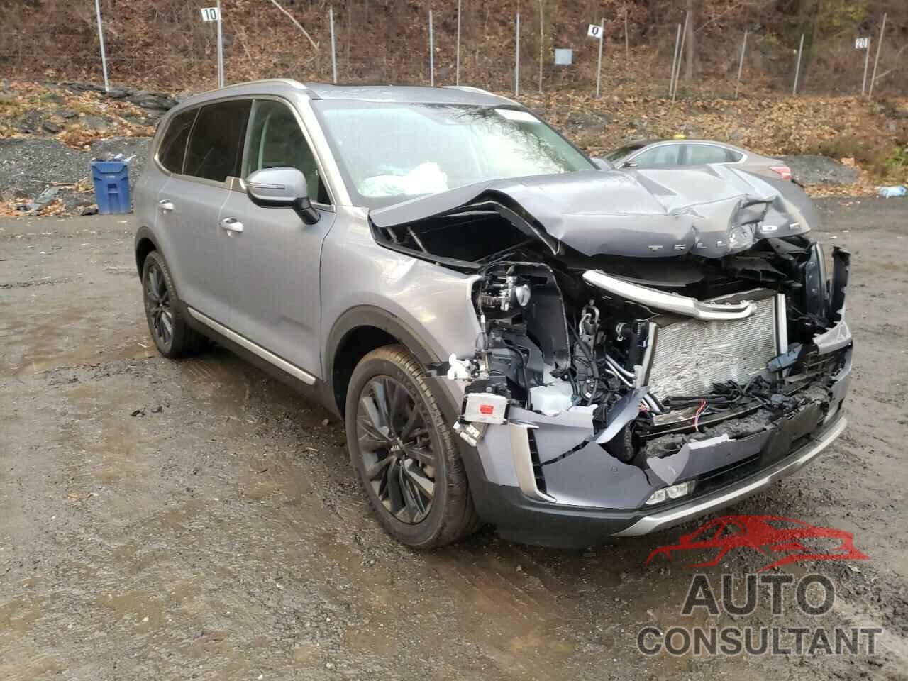 KIA TELLURIDE 2020 - 5XYP5DHC2LG091356