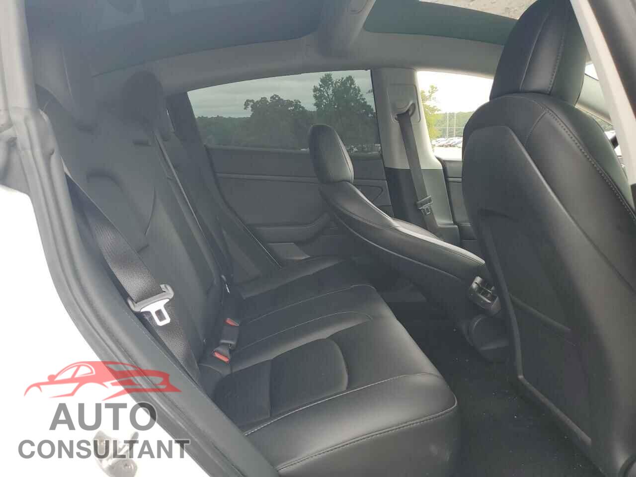 TESLA MODEL 3 2021 - 5YJ3E1EA3MF923408