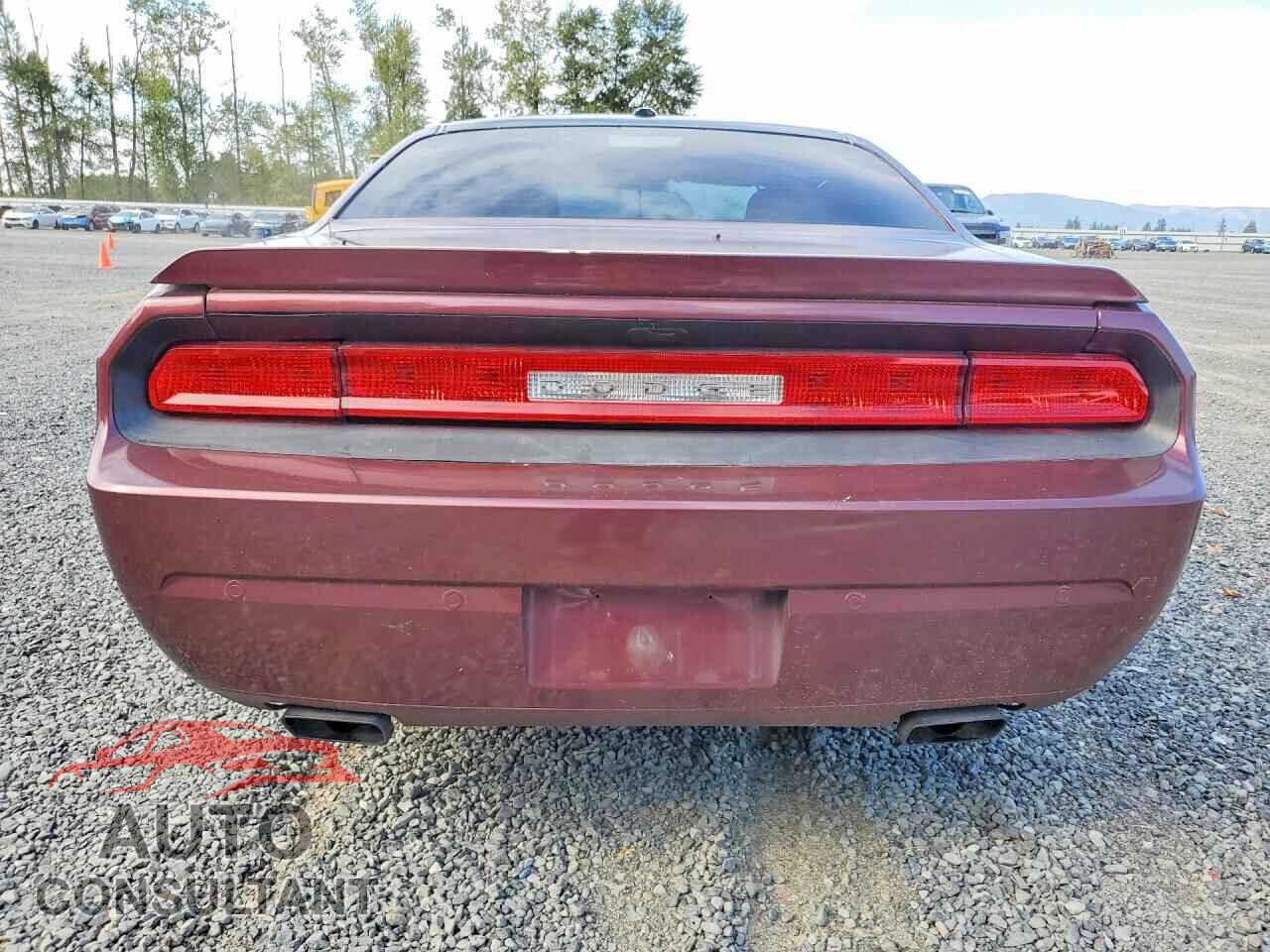DODGE CHALLENGER 2014 - 2C3CDYBT2EH204510