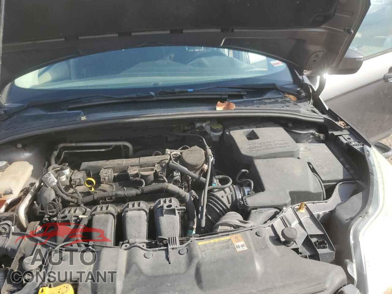 FORD FOCUS 2012 - 1FAHP3F24CL278790