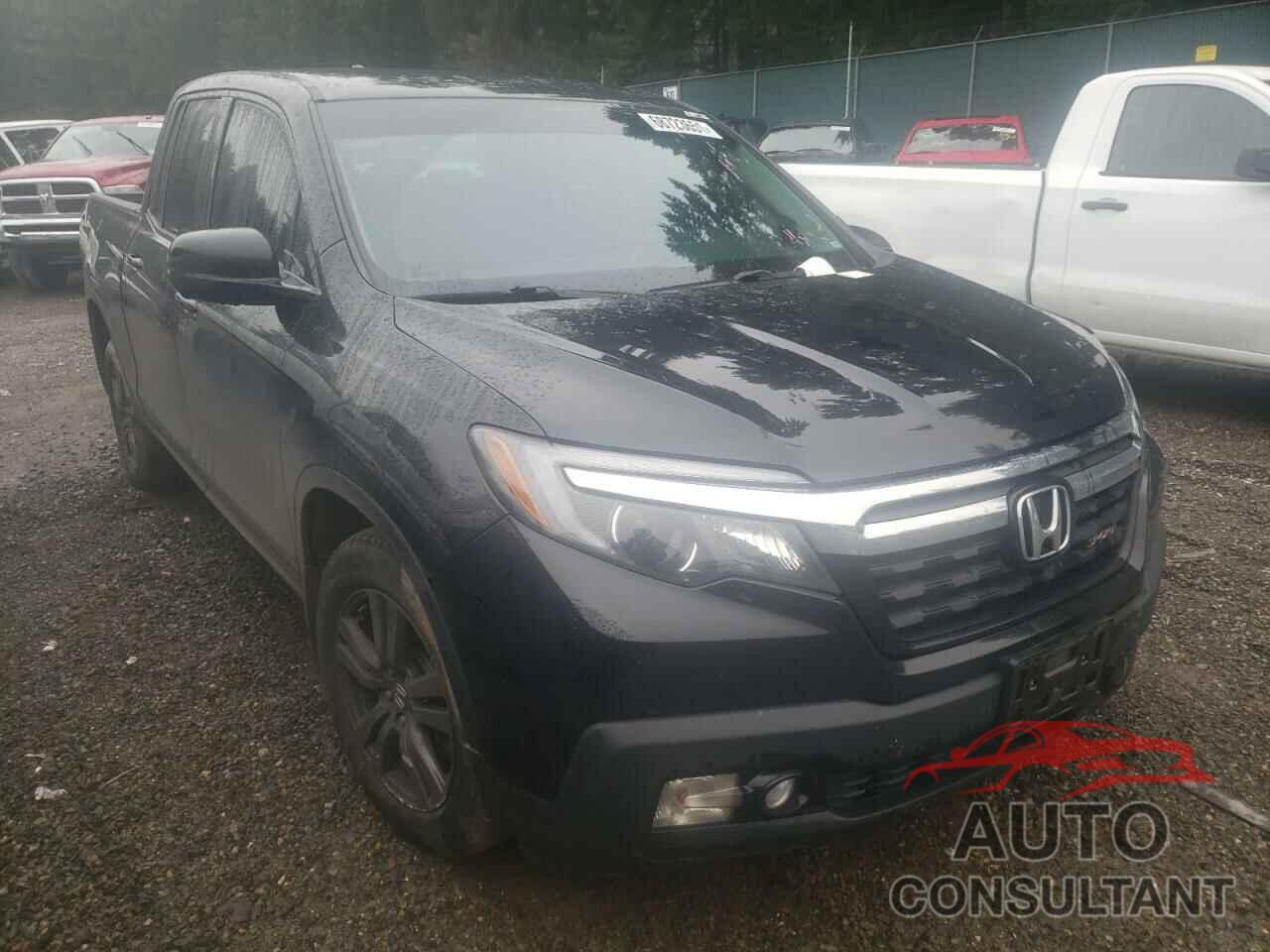 HONDA RIDGELINE 2019 - 5FPYK3F13KB038266