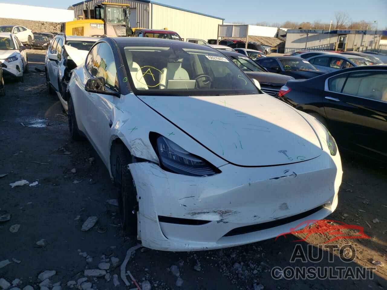 TESLA MODEL Y 2020 - 5YJYGDEE1LF032701