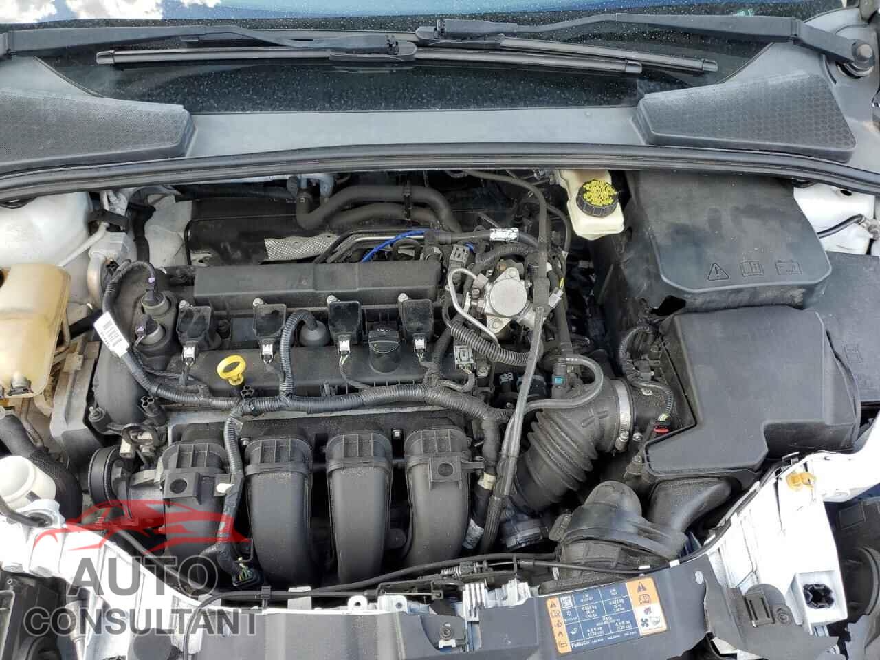 FORD FOCUS 2017 - 1FADP3F27HL208500