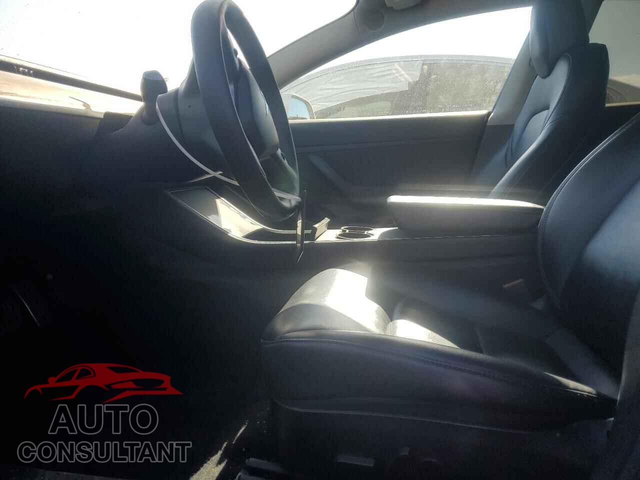 TESLA MODEL 3 2019 - 5YJ3E1EA3KF401553
