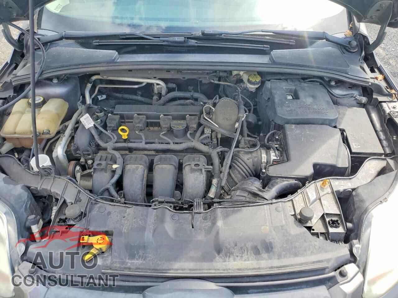 FORD FOCUS 2012 - 1FAHP3F22CL187789