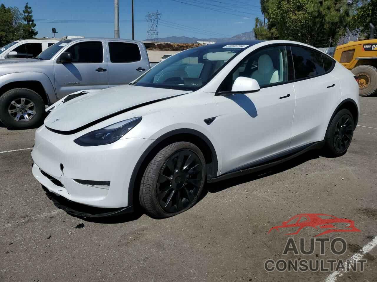 TESLA MODEL Y 2024 - 7SAYGDEE7RA225542