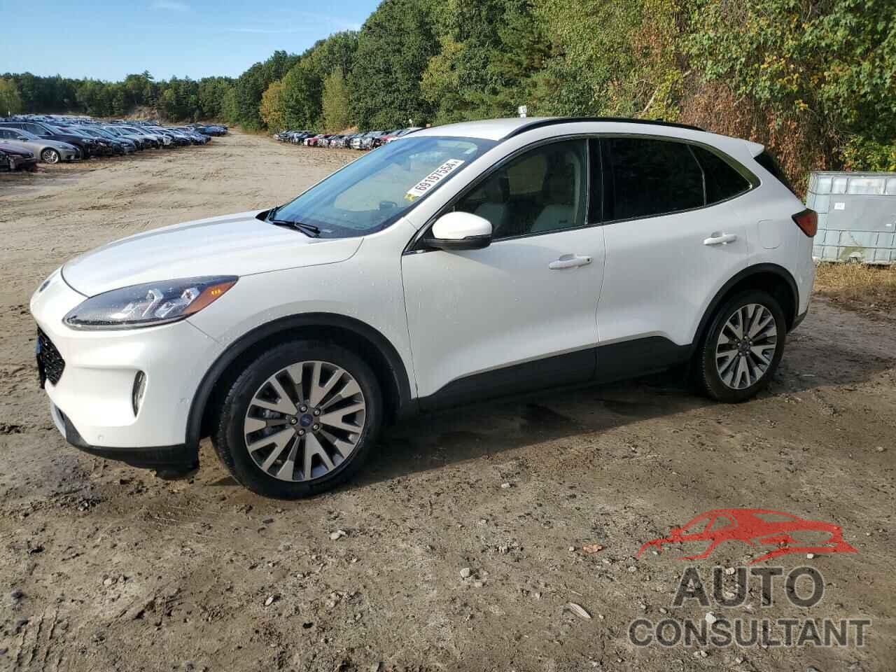 FORD ESCAPE 2020 - 1FMCU0DZ0LUC39681
