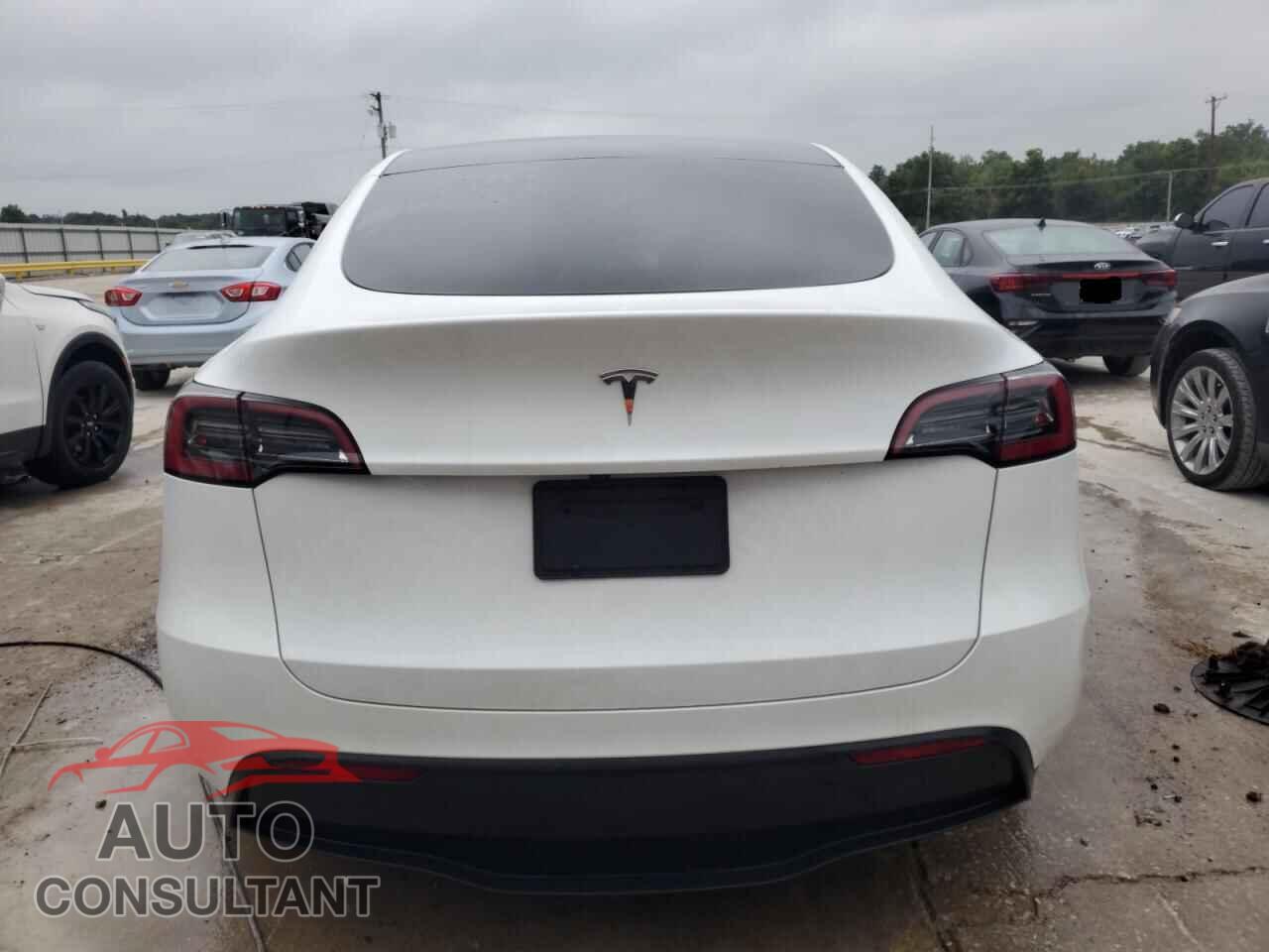 TESLA MODEL Y 2024 - 7SAYGDED5RF200049