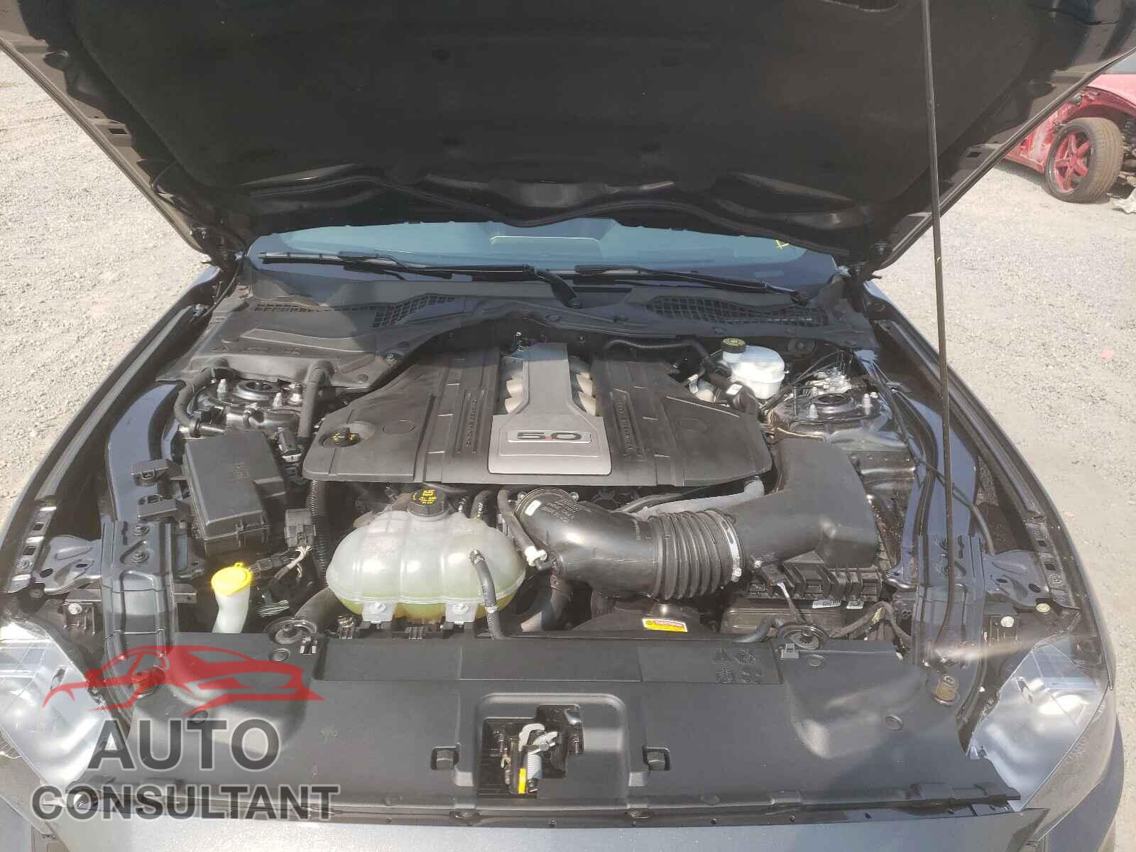 FORD MUSTANG 2019 - 1FA6P8CF2K5125498
