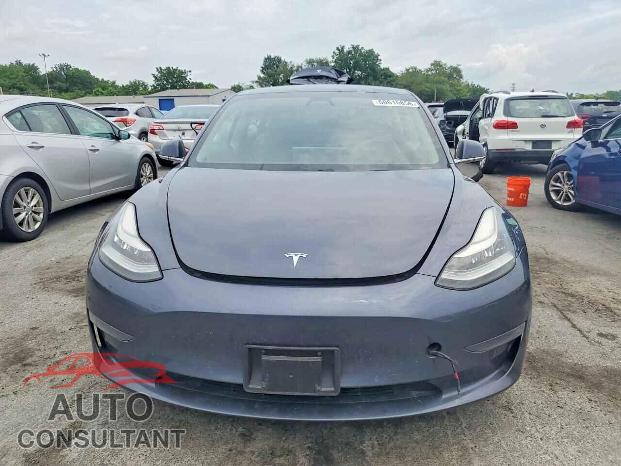 TESLA MODEL 3 2019 - 5YJ3E1EAXKF427017