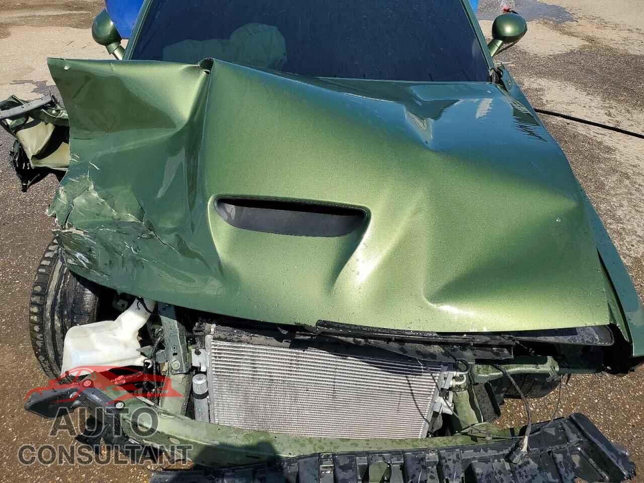 DODGE CHALLENGER 2019 - 2C3CDZBT9KH545565
