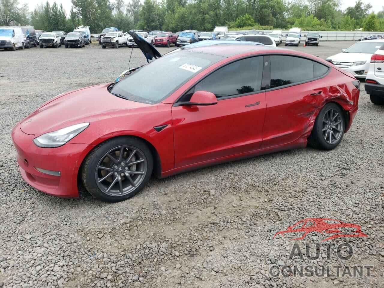 TESLA MODEL 3 2019 - 5YJ3E1EA6KF313791