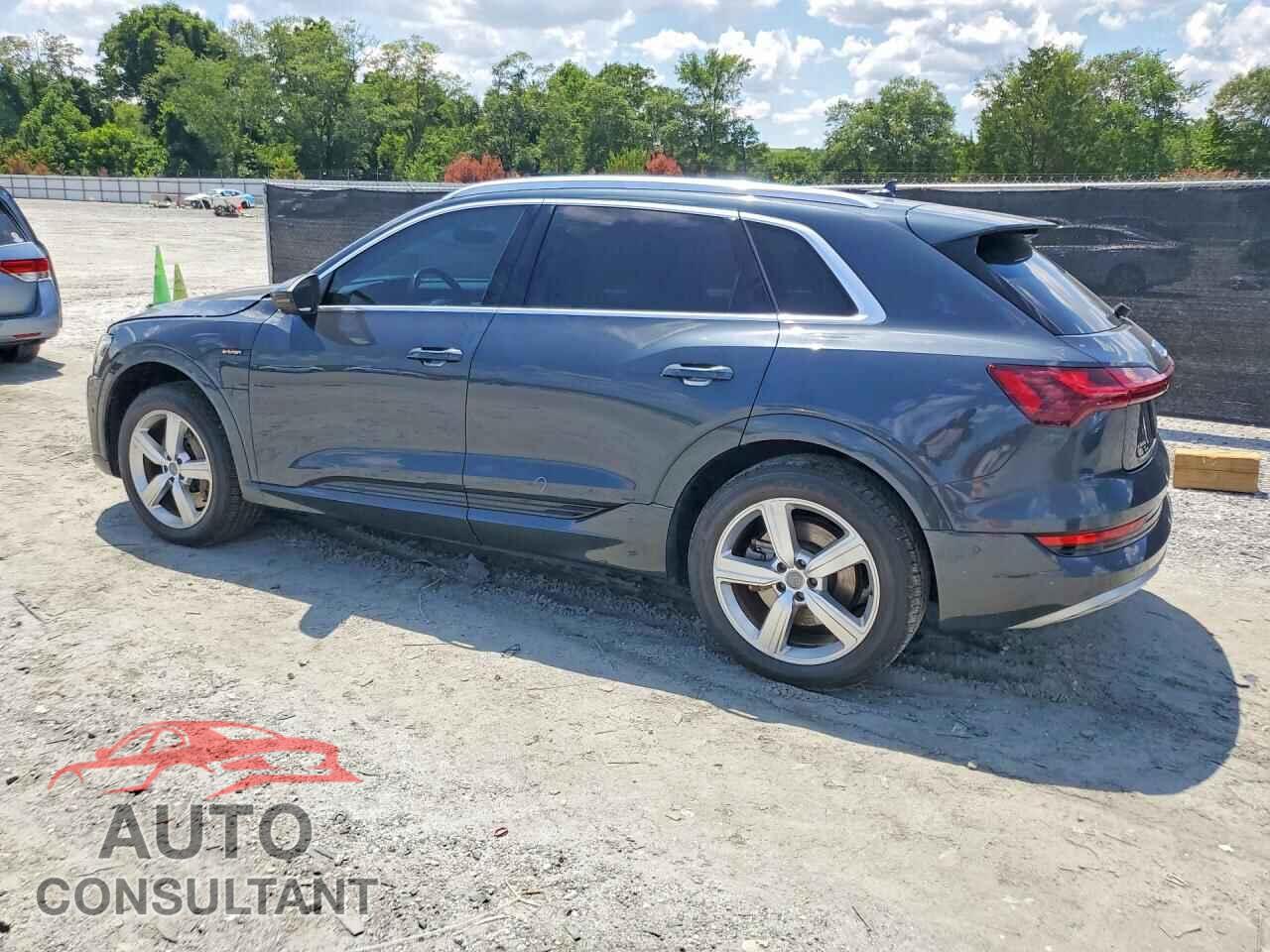 AUDI E-TRON 2019 - WA1LAAGE7KB024783