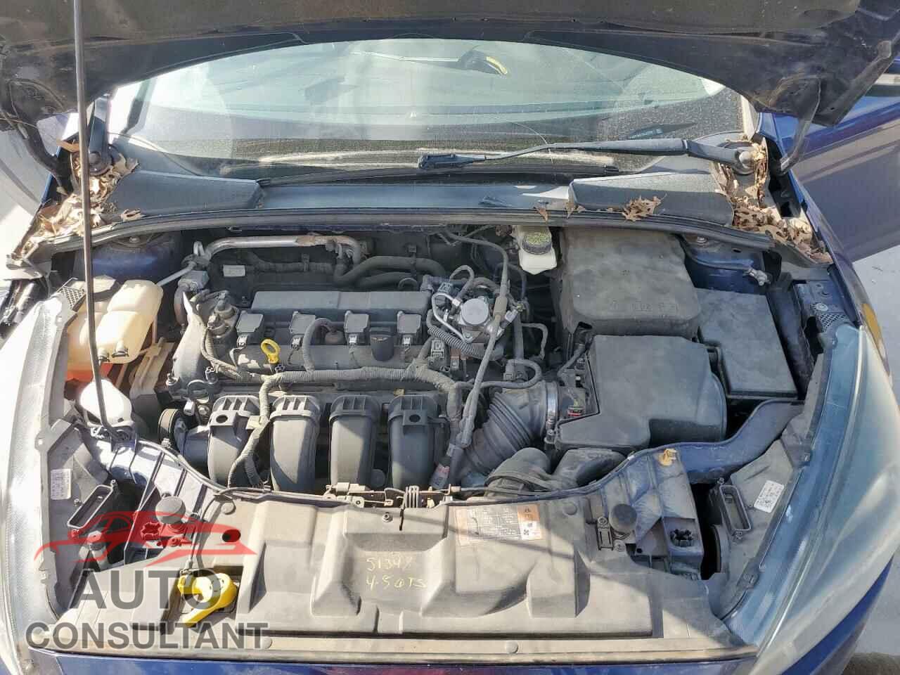 FORD FOCUS 2017 - 1FADP3H21HL237021