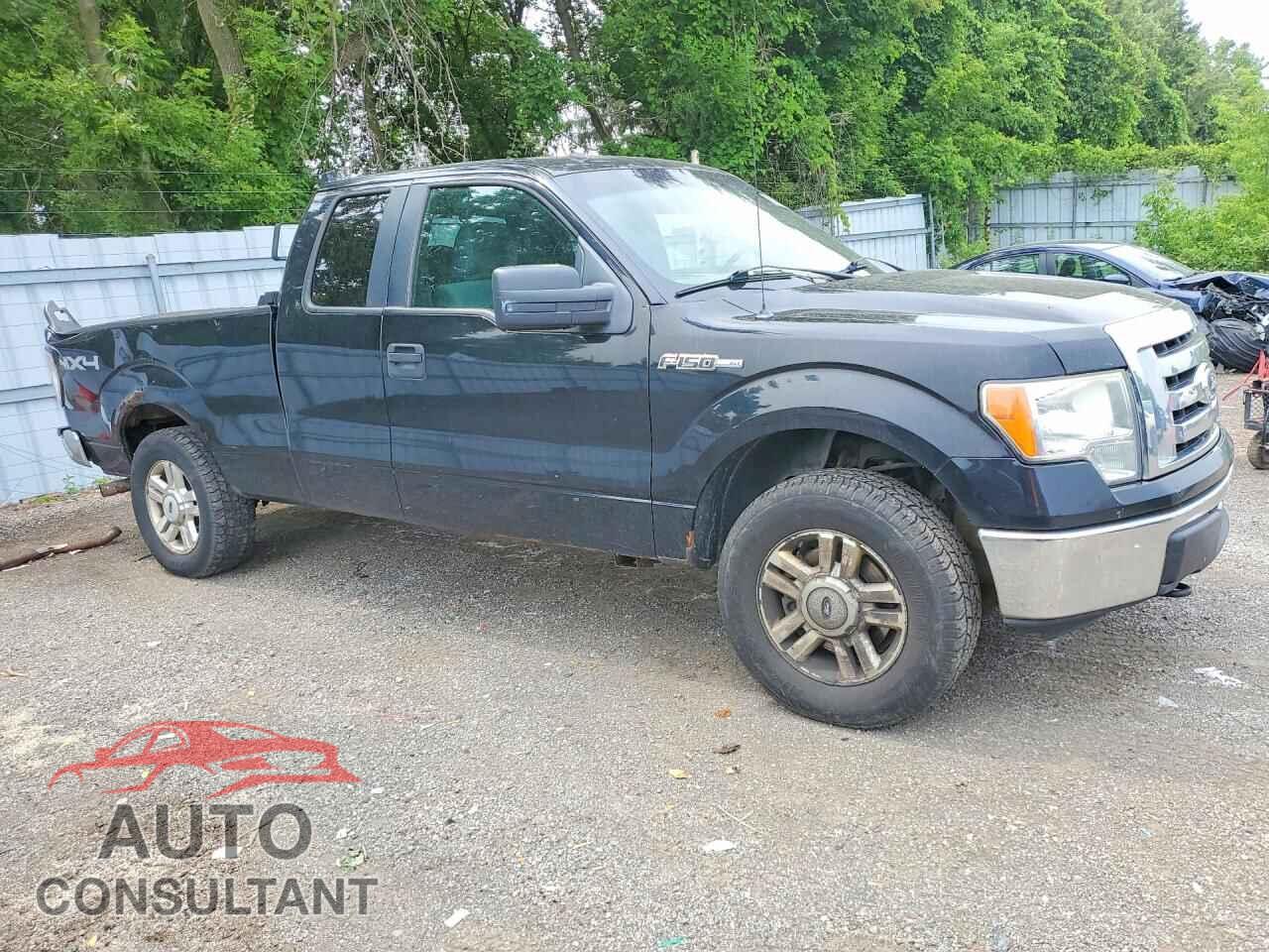 FORD F150 2011 - 1FTFX1EF3BFC68369