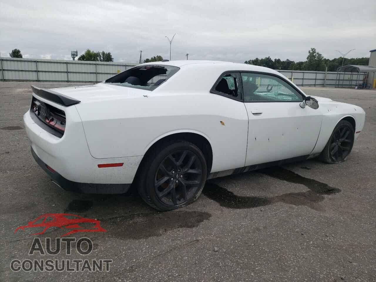 DODGE CHALLENGER 2019 - 2C3CDZAG8KH513551
