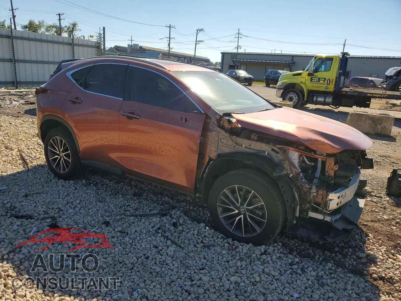 LEXUS NX 2025 - 2T2GKCEZ2SC036617