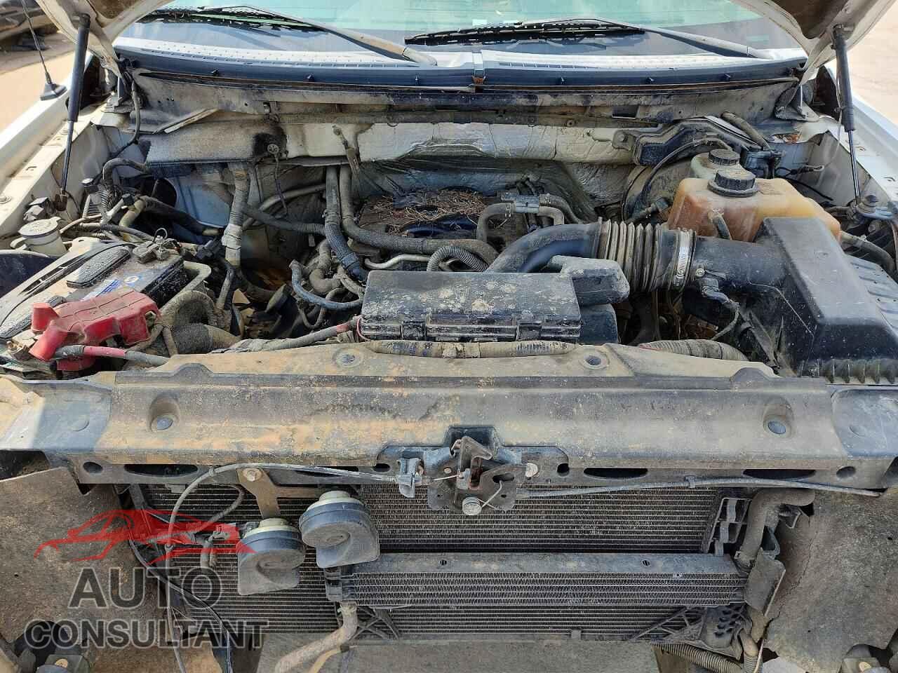 FORD F150 2011 - 1FTFX1EF7BFB42774
