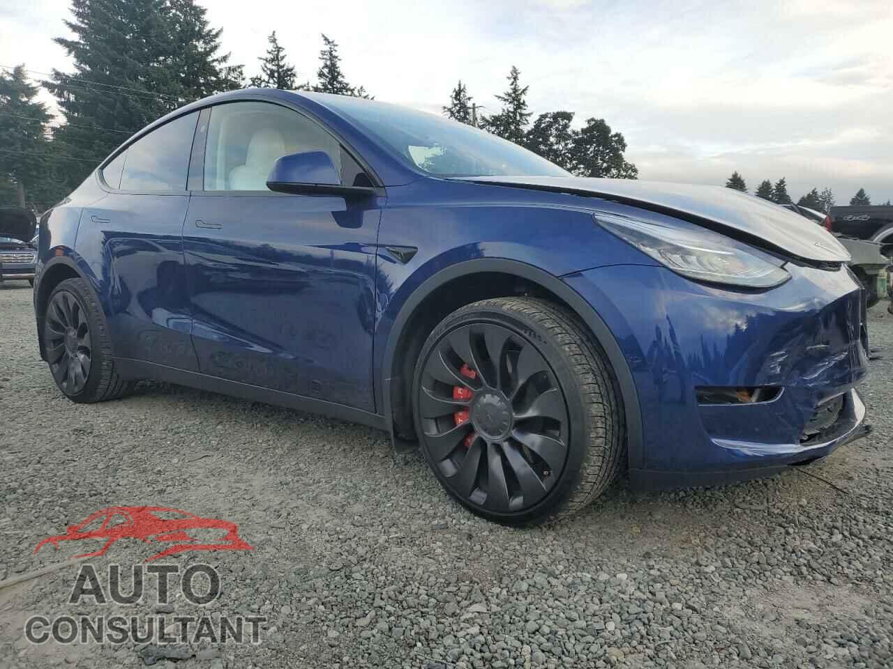 TESLA MODEL Y 2023 - 7SAYGDEE8PA156857