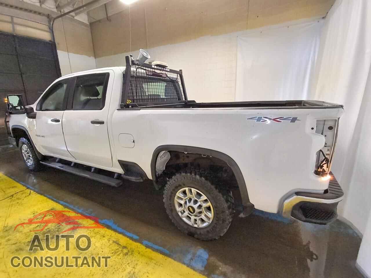 CHEVROLET SILVERADO 2020 - 1GC1YLE76LF314497