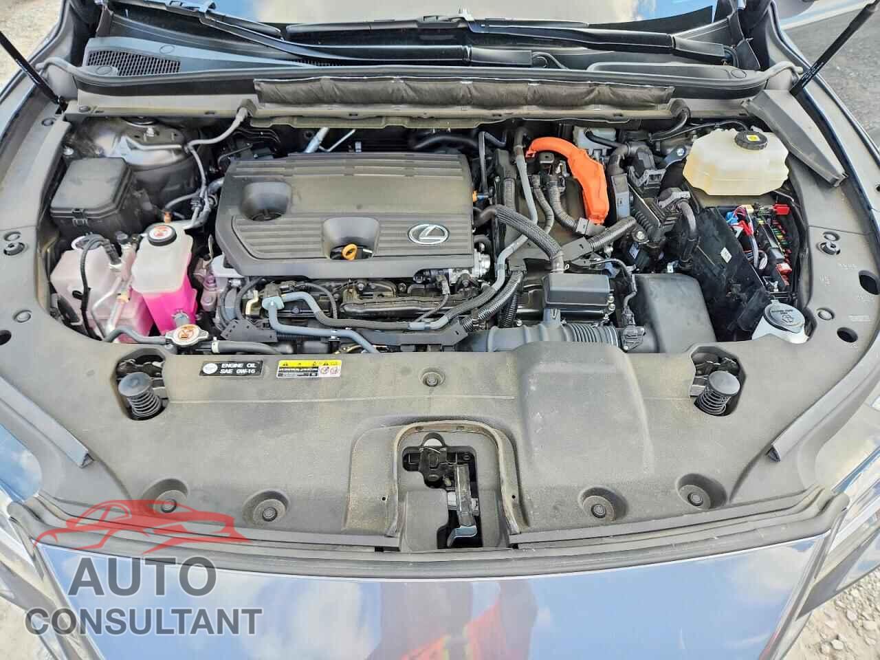 LEXUS UNKNOWN 2024 - 2T2BBMCA5RC027059