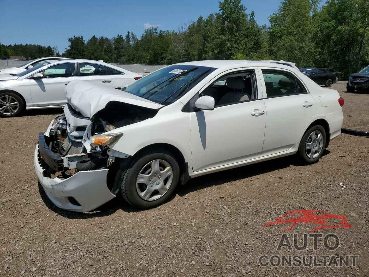TOYOTA COROLLA 2011 - 2T1BU4EE8BC738887