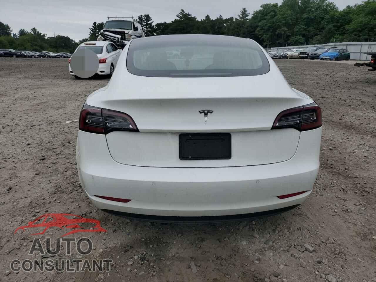 TESLA MODEL 3 2019 - 5YJ3E1EA2KF362793