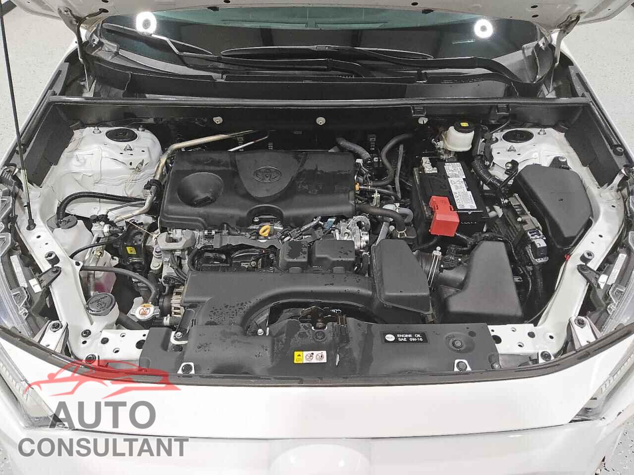 TOYOTA RAV4 2023 - 2T3H1RFV7PC250818