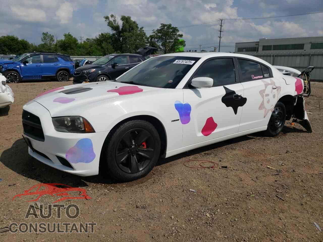 DODGE CHARGER 2014 - 2C3CDXCT6EH161296
