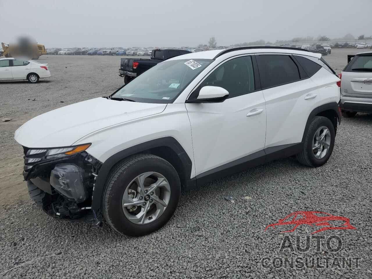 HYUNDAI TUCSON 2024 - 5NMJBCDE6RH386362