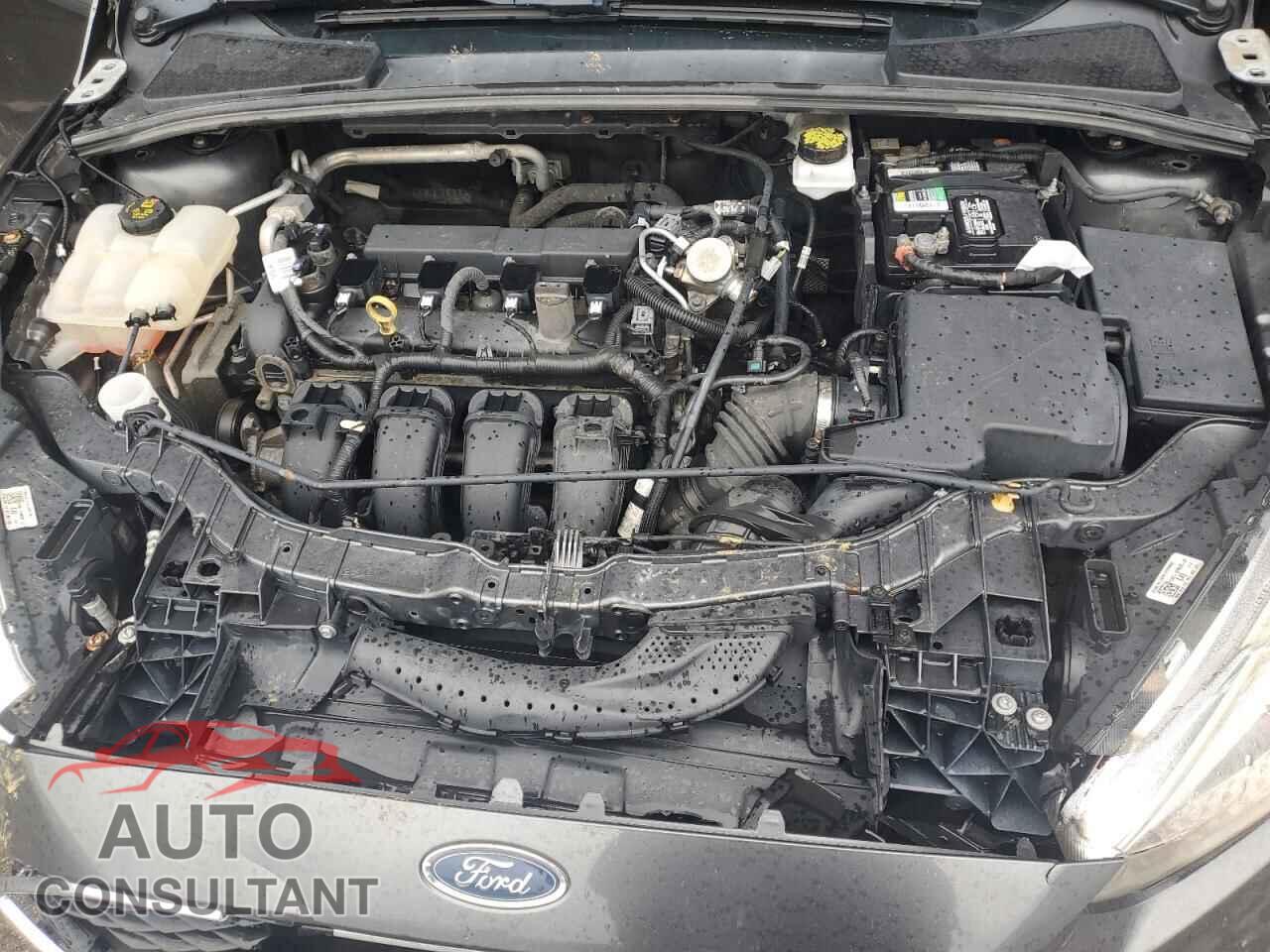 FORD FOCUS 2017 - 1FADP3F29HL292089
