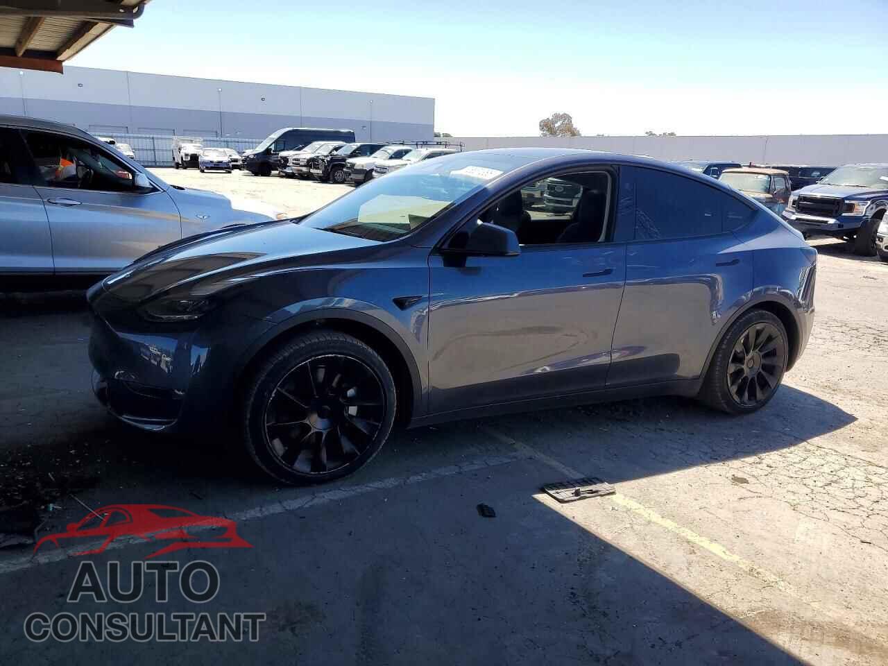 TESLA MODEL Y 2023 - 7SAYGAEE2PF862675