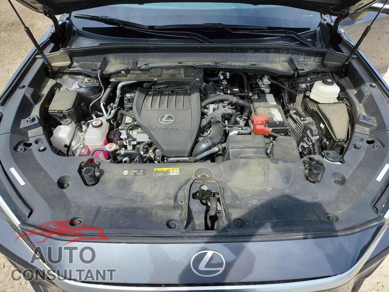 LEXUS UNKNOWN 2024 - 5TDAAAB67RS008146