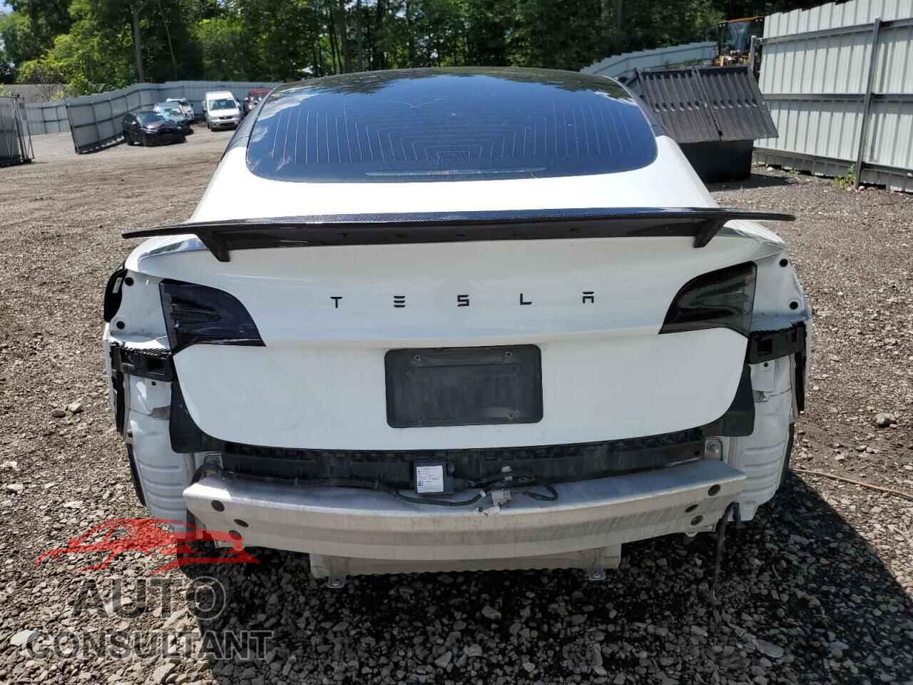 TESLA MODEL 3 2020 - 5YJ3E1EB7LF665501