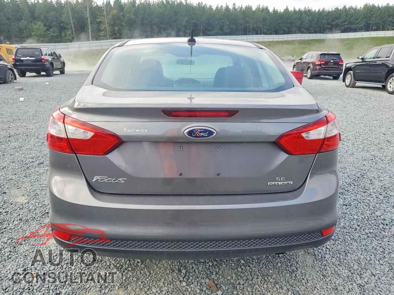 FORD FOCUS 2014 - 1FADP3F21EL253220