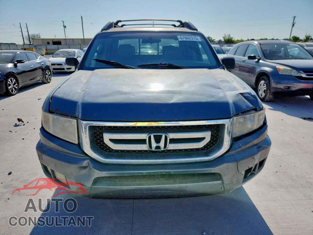 HONDA RIDGELINE 2010 - 5FPYK1F54AB012829