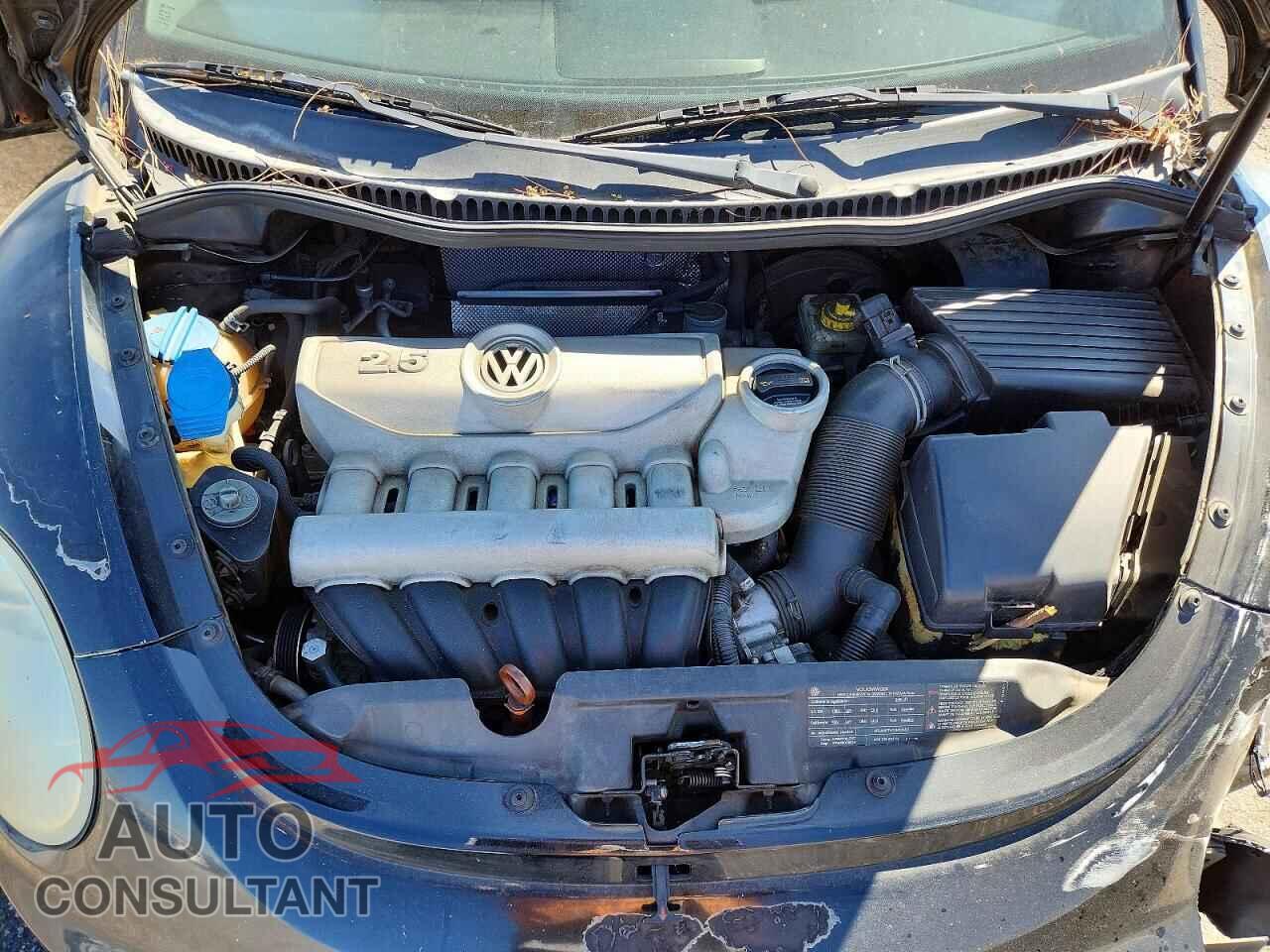 VOLKSWAGEN BEETLE 2010 - 3VWPG3AG6AM009059