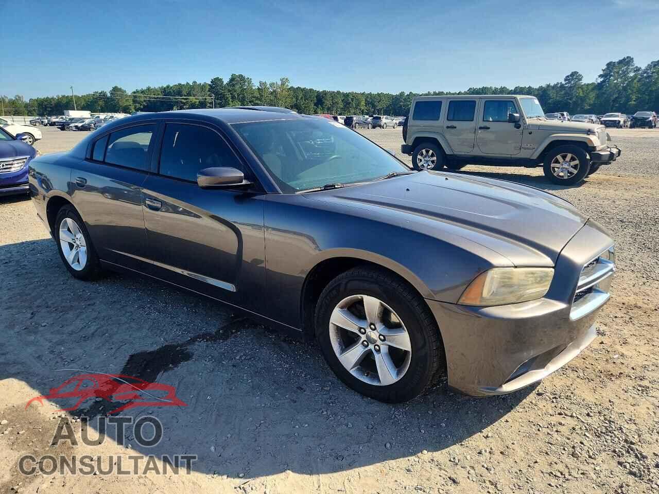 DODGE CHARGER 2014 - 2C3CDXBG1EH242856