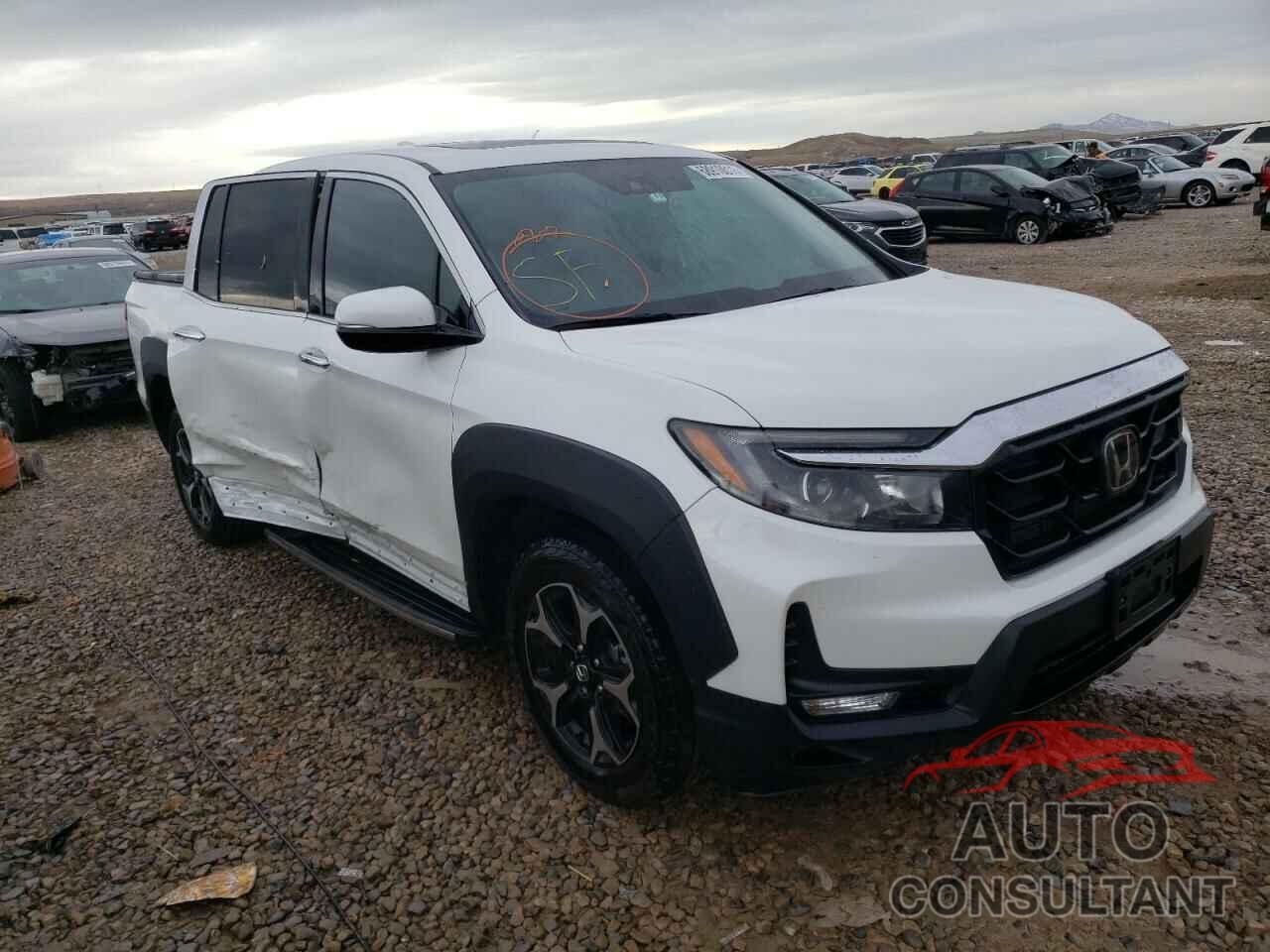 HONDA RIDGELINE 2021 - 5FPYK3F77MB011577