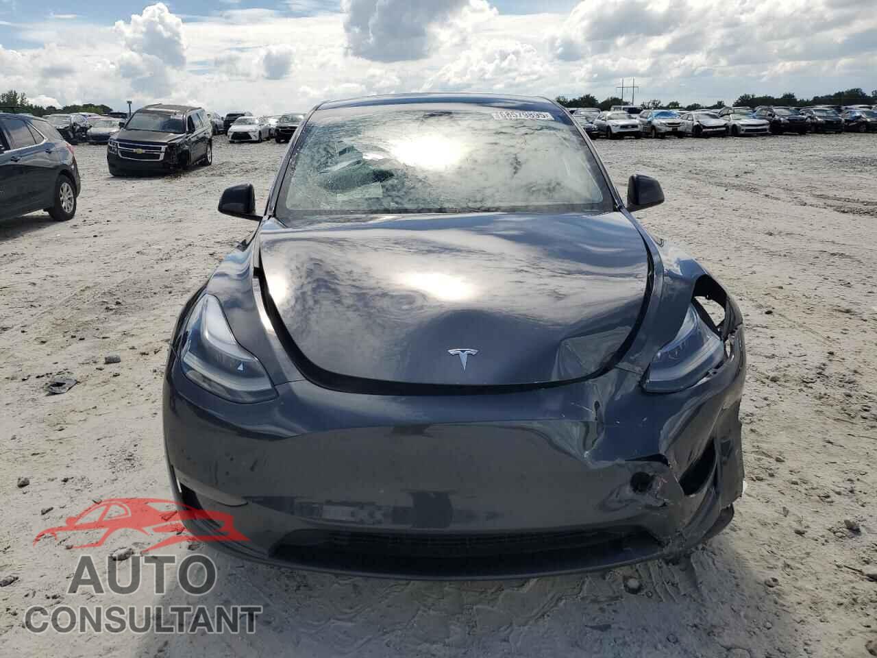 TESLA MODEL Y 2024 - 7SAYGDED0RF018730