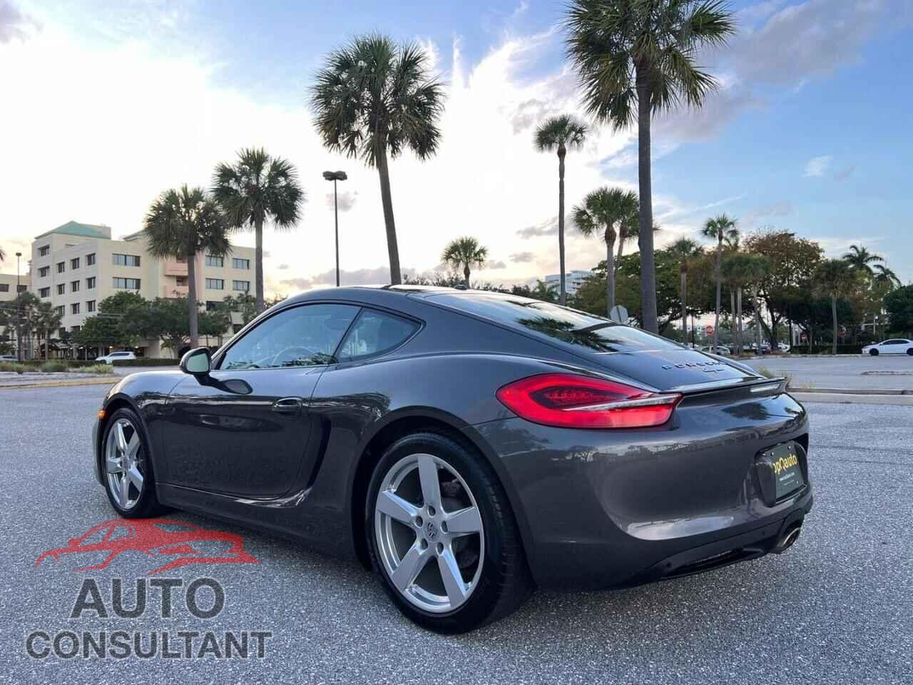 PORSCHE CAYMAN 2015 - WP0AA2A87FK161539