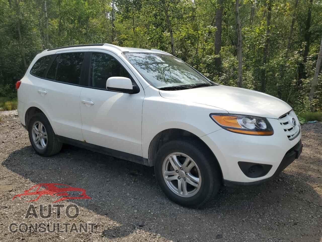 HYUNDAI SANTA FE 2010 - 5NMSG3ABXAH410098