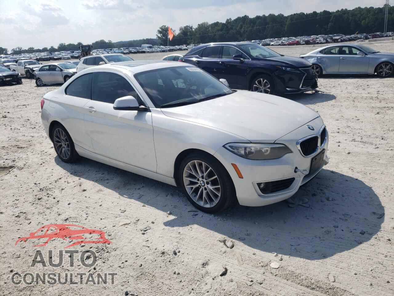 BMW 2 SERIES 2014 - WBA1F5C51EV246019