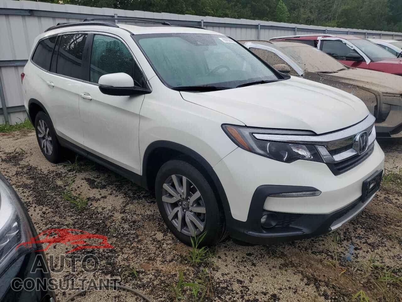 HONDA PILOT 2019 - 5FNYF6H43KB045045
